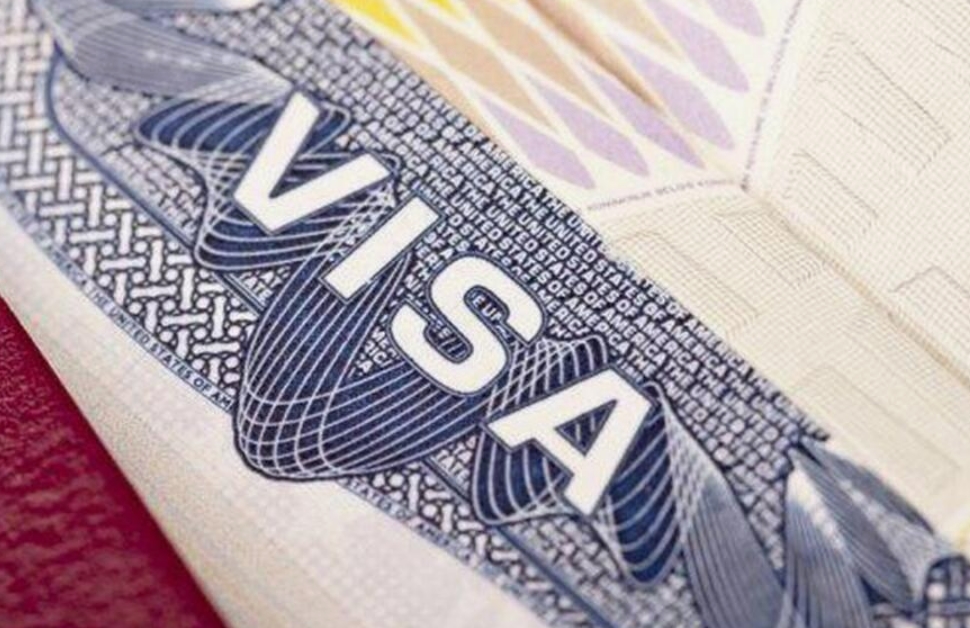 Особенности прединвестиционной визы D12: когда и кому стоит оформлять