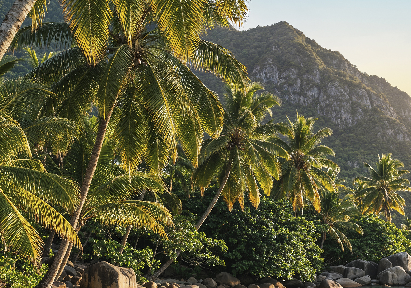 Продление пребывания на Бали: через туристическое агентство vs самостоятельно